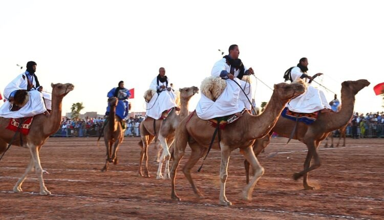 مهرجان سباق الإبل بالسمارة