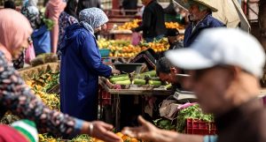 “وعود لا تصل لجيب المستهلك”.. الشافعي يسجل غياب حماية المستهلك عن البرامج الانتخابية
