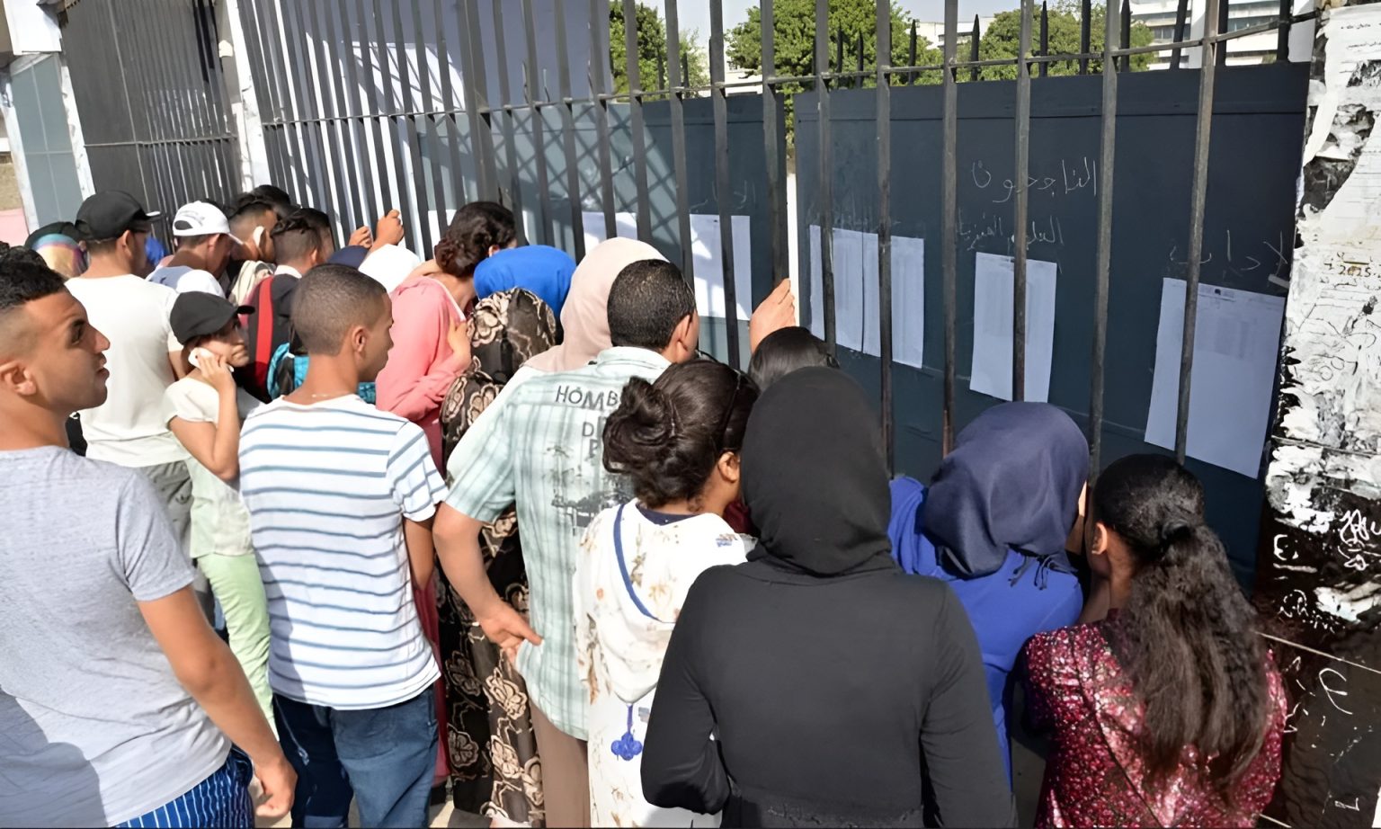 نتائج البكالوريا 2026.. النجاح يتجاوز 81 بالمئة
