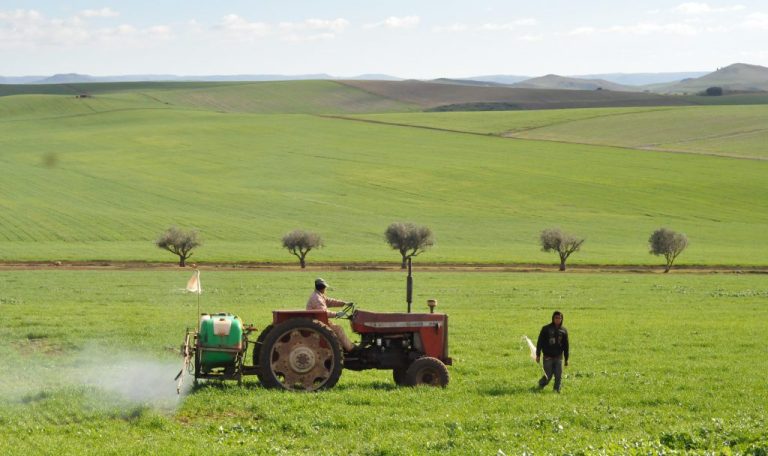 الفلاحة المغربية بين “دعم” الكبار و”تهميش” الصغار.. مخطط المغرب الأخضر تحت المجهر