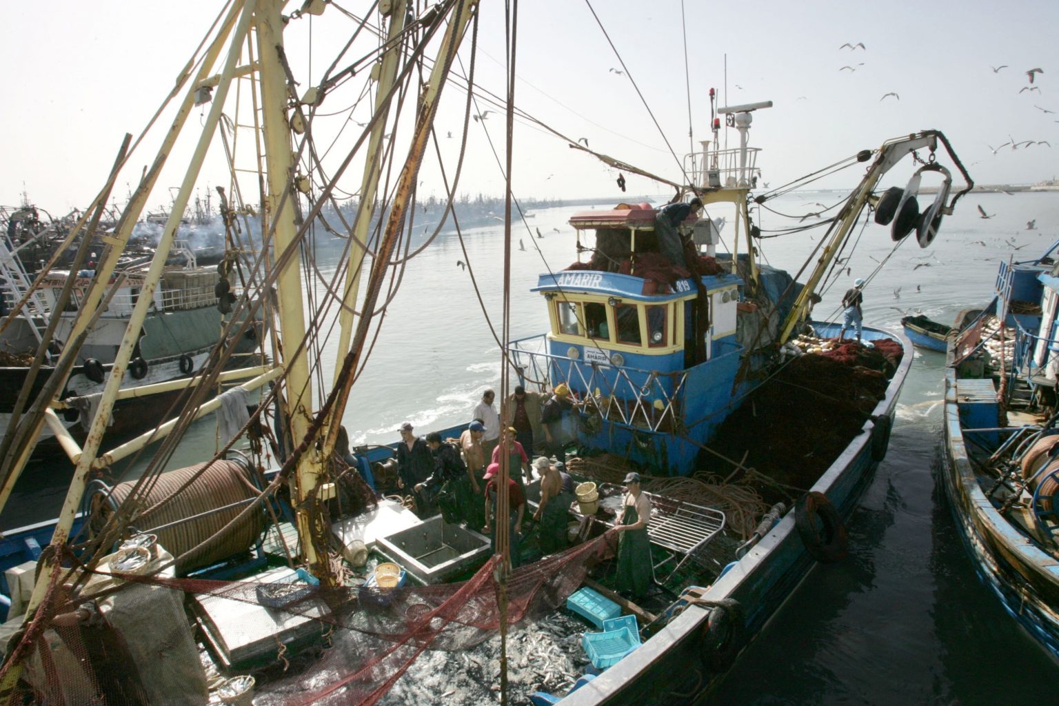 البرلمان الأوروبي يطالب بتوضيحات حول مفاوضات الصيد مع المغرب بعد قرار المحكمة البرلمان الأوروبي يطالب بتوضيحات حول مفاوضات الصيد مع المغرب بعد قرار المحكمة