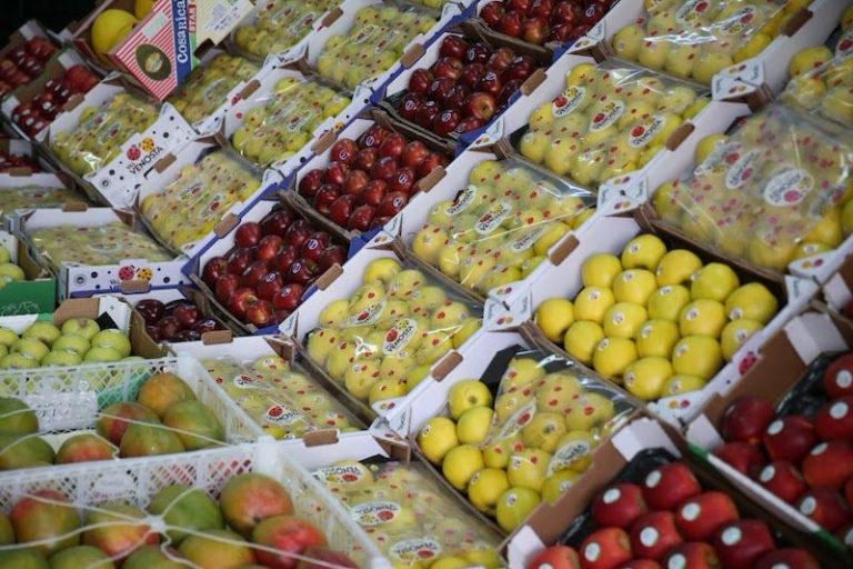 التفاح المستورد يغزو الأسواق المغربية برقم قياسي غير مسبوق التفاح المستورد يغزو الأسواق المغربية برقم قياسي غير مسبوق