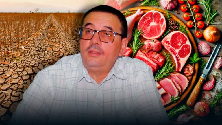 حوار: أزمة اللحوم بالمغرب وظاهرة ذبح الكلاب