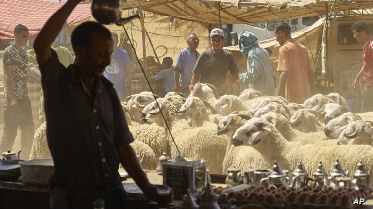 عيد بدون أضحية: الجفاف يفرض قراره للمرة الثالثة