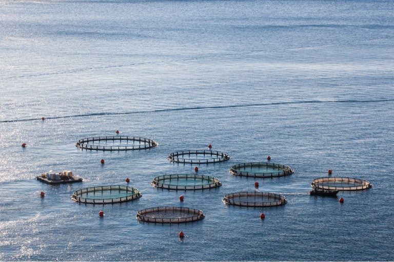 الأحياء المائية: المغرب يستأثر باهتمام مجلة إيطالية