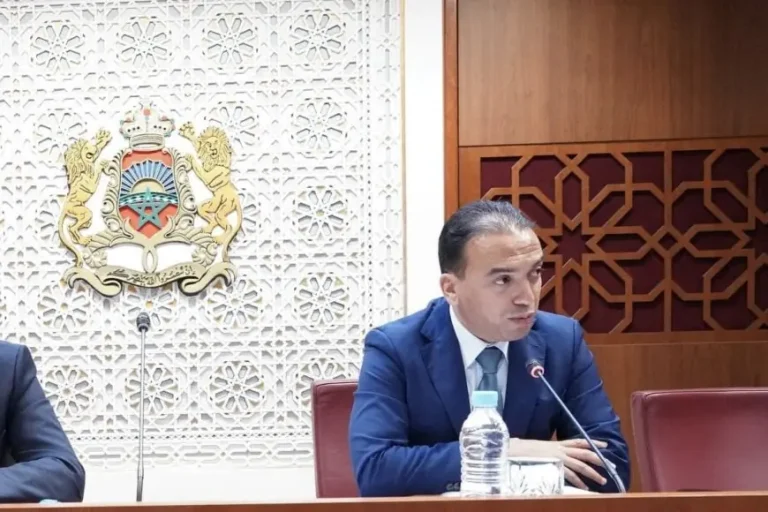 تنسيقية متضرري زلزال الحوز توجه انتقادات شديدة للسعدي