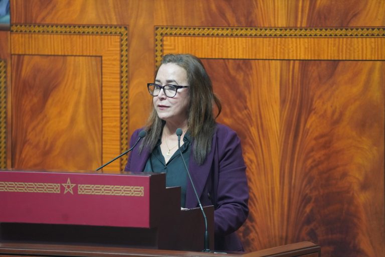 التامني: المتاجرة في “الديبلومات” تُكلّف المغرب مبالغ مالية باهظة