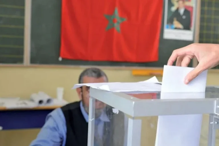 خبير: الانتخابات الجزئية أبانت حجم “لامبالاة” المواطنين