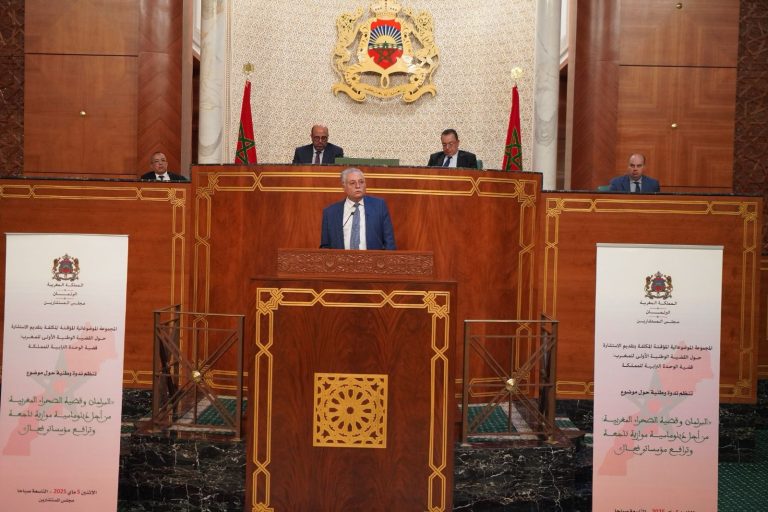 بنعبد الله: نحتاج لليقظة في “الأمتار الأخيرة” لحسم ملف الصحراء