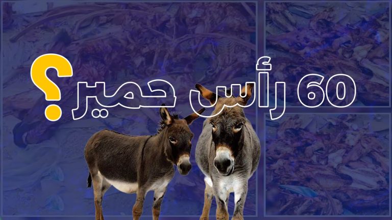 حصري.. “سفيركم” يكشف تفاصيل بقايا عظام دواب بالدار البيضاء
