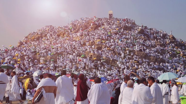 في يوم الوقفة الكبرى.. الحجاج يتوافدون إلى صعيد عرفات لأداء أهم أركان الحج