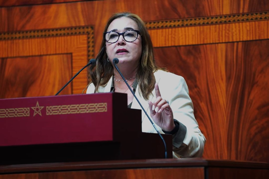 “إقصاء مقصود”.. التامني تستنكر منعها من أخذ الكلمة في لجنة المالية حول ميزانية 2026