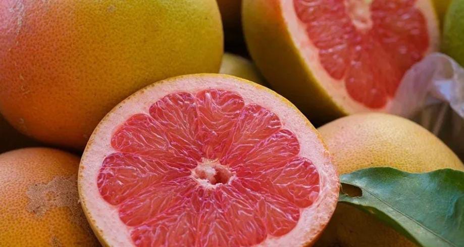 تقرير: الحمضيات المغربية تتحدى الاتجاهات العالمية بارتفاع الصادرات نحو كندا