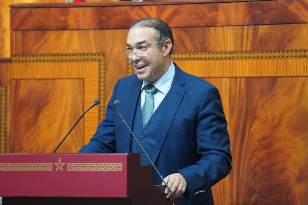 أوزين يسائل بنسعيد حول دعم “التفاهة” عبر الدعم العمومي