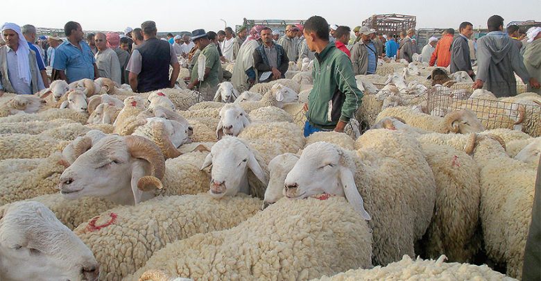 بنقدور: “حولي 1000 درهم” يهز الثقة في المؤسسات ولا وجود لقانون يعاقب على رفع الأسعار