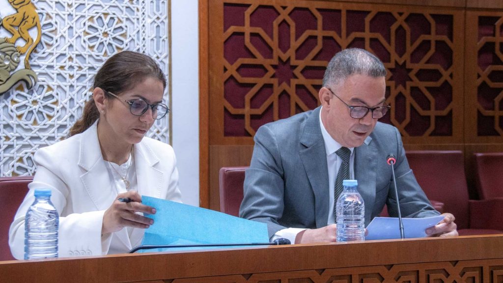 برئاسة لقجع.. لجنة المالية تصادق على تعديل قانون الدعم الاجتماعي دون مناقشة تفصيلية