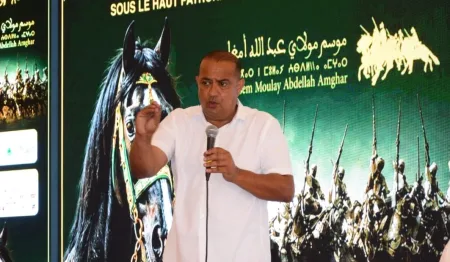 140 سربة و7 ملايين زائر متوقع.. استعدادات موسم “مولاي عبد الله” للتبوريدة