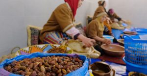 دعم المبادرة يرفع عضوات تعاونية توتسيم إلى 15