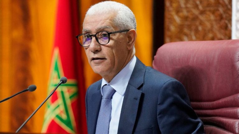 هل رفض الطالبي العلمي تسليم نسخة من قانون المحاماة إلى الدستورية؟