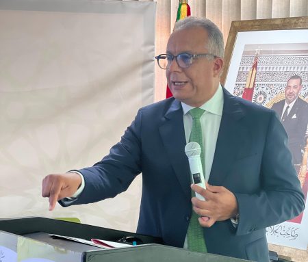 بعد نشر القانون.. بنعلي يدعو المحامين إلى نقل معركتهم لـ”الساحة الحقيقية”