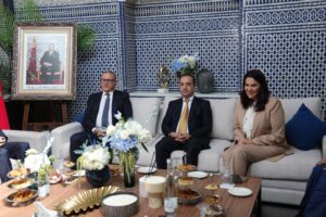 الأحزاب تتوافد على مقر “البام” والمنصوري تبدأ هندسة الحكومة الجديدة