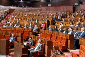 انتخابات 2026.. 16 محامٍ بمجلس النواب لمؤازرة أسرة الدفاع تشريعيا