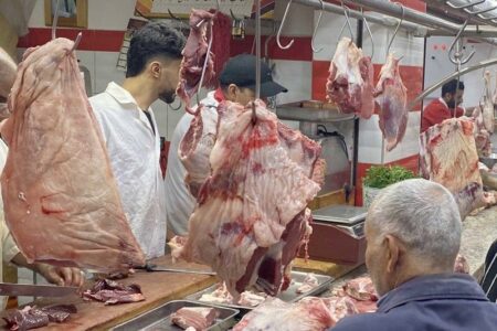 محمد جبلي يكشف لـ”سفيركم” 3 أسباب رئيسية وراء ارتفاع أسعار اللحوم الحمراء بالمغرب