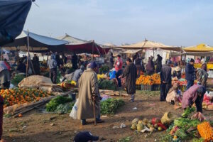 الشابي لـ”سفيركم”: غزو التصدير وضعف المراقبة وراء ارتفاع أسعار الخضر بالمغرب